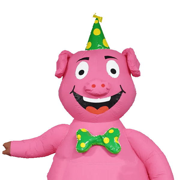 Op zoek naar de perfecte verrassing? Dit feestvarken wijst je de weg naar de leukste feestpoppen voor elke verjaardag voor man en vrouw!