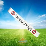 Feestende Vrouw banner - sjerp "HOERA JARIGE 60 jaar"