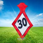 Feestende Man - stropdas 30