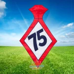 Feestende Man - stropdas 75